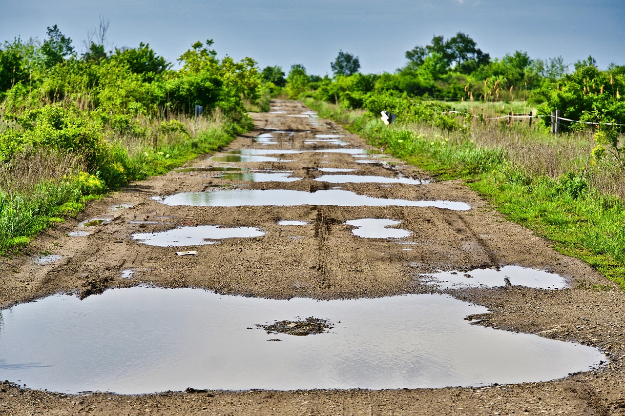 Caminhão no Agronegócio